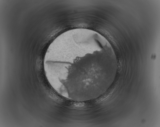X0000097000355200803071123