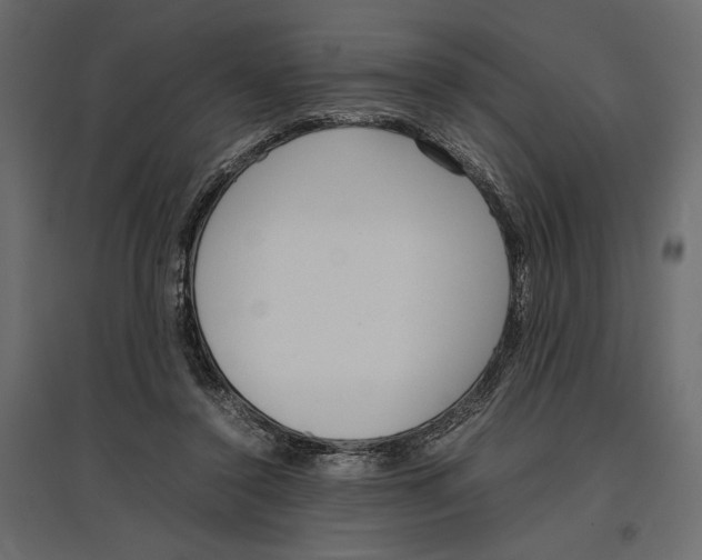 X0000097000356200803071123