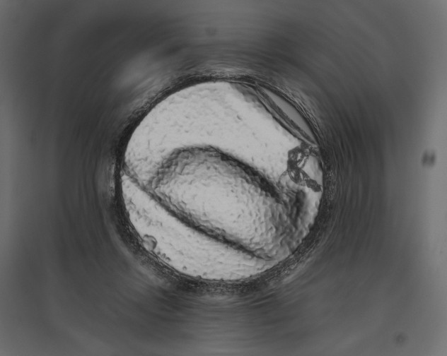 X0000097000358200803071123