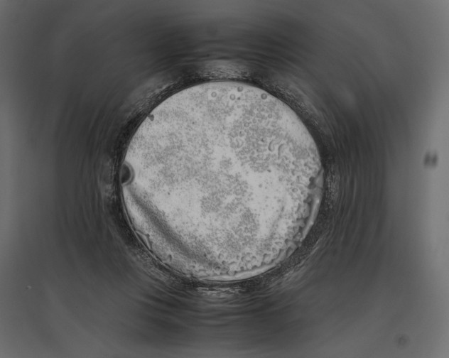 X0000097000359200803071123