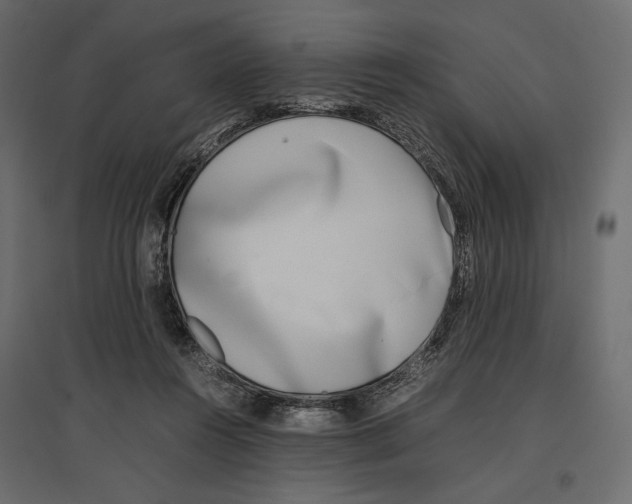 X0000097000360200803071123