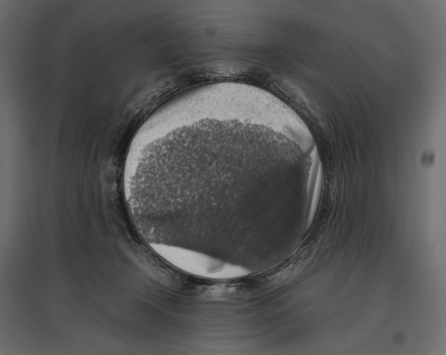 X0000097000366200803071123