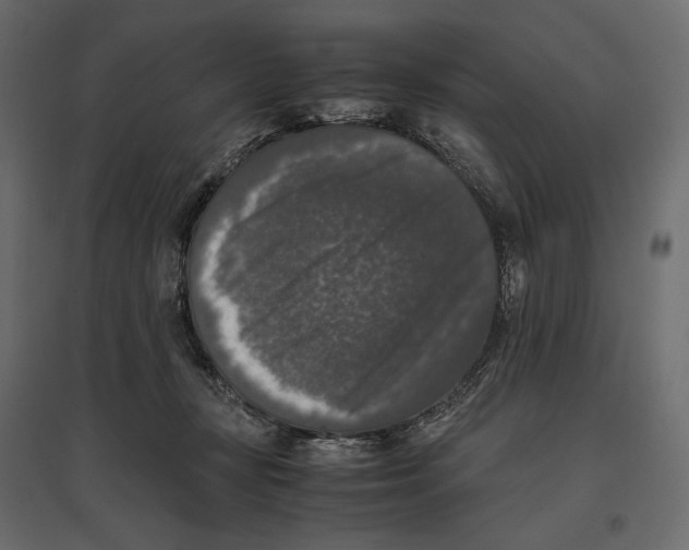 X0000097000367200803071123