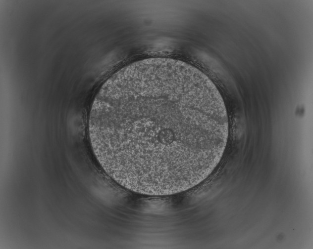 X0000097000370200803071123