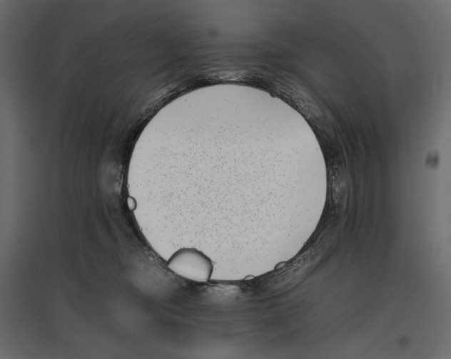 X0000097000374200803071123