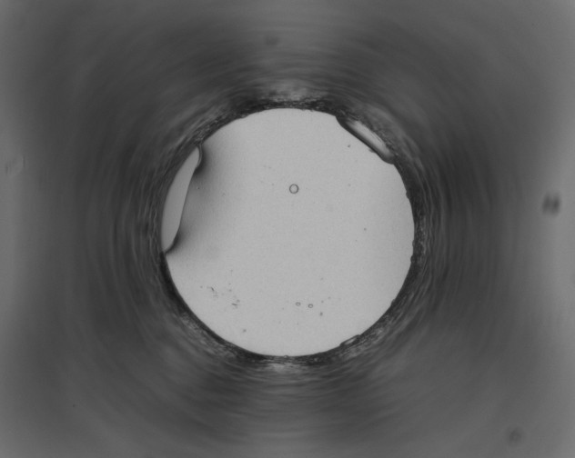 X0000097000376200803071123