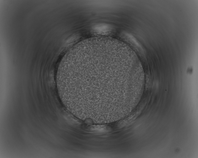 X0000097000377200803071123