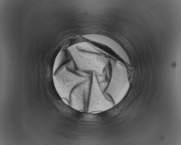 X0000097000380200803071123