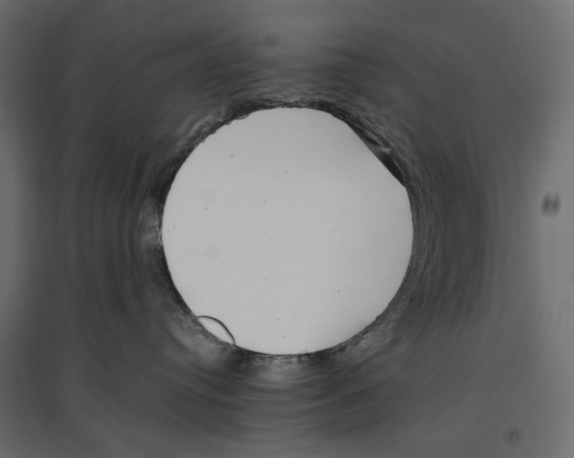 X0000097000384200803071123