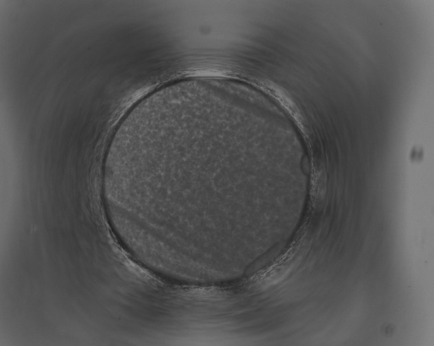 X0000097000385200803071122