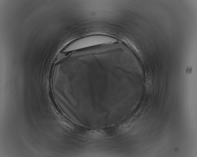 X0000097000386200803071122