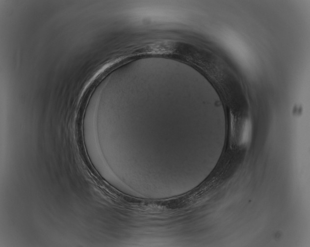 X0000097000387200803071122