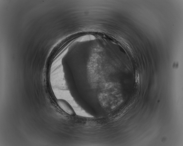 X0000097000388200803071122