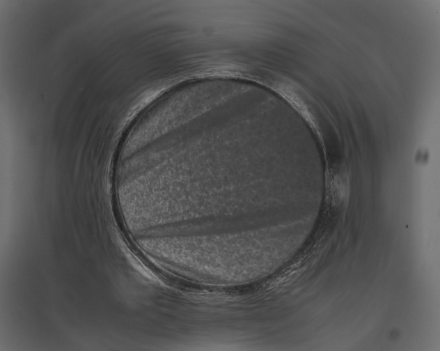 X0000097000389200803071122