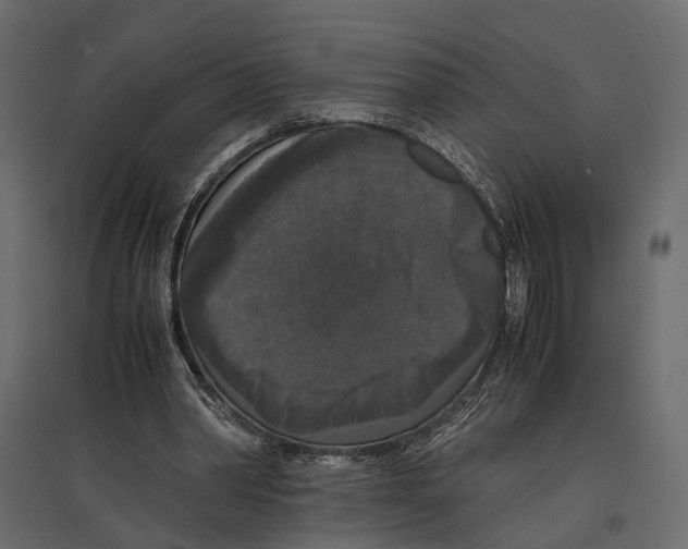 X0000097000390200803071122