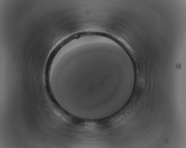 X0000097000391200803071122