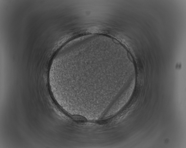 X0000097000393200803071122