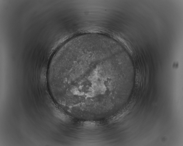 X0000097000394200803071122