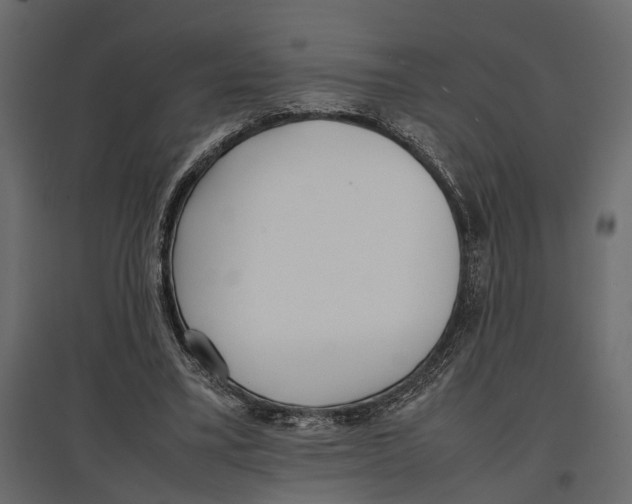 X0000097000395200803071122