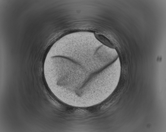 X0000097000397200803071122