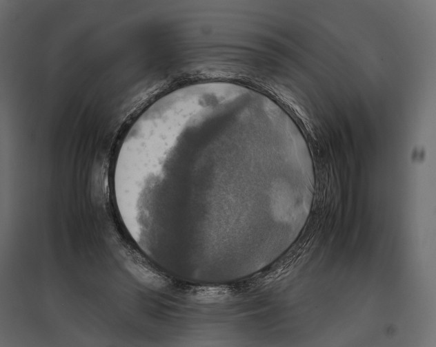 X0000097000398200803071122