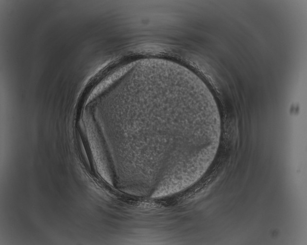 X0000097000399200803071122