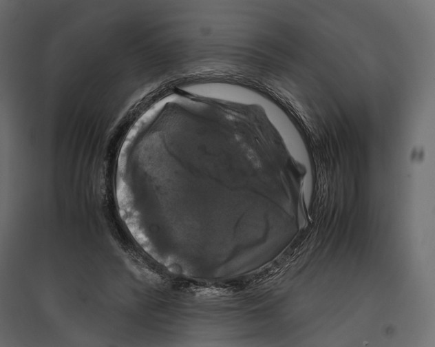 X0000097000400200803071122