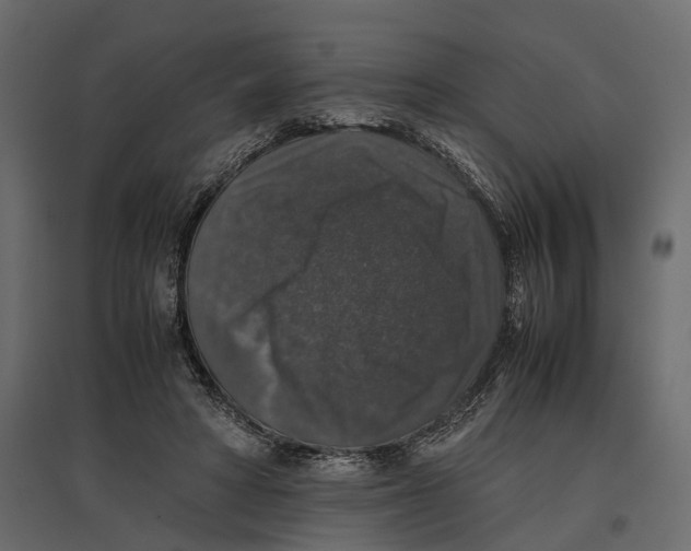 X0000097000402200803071122