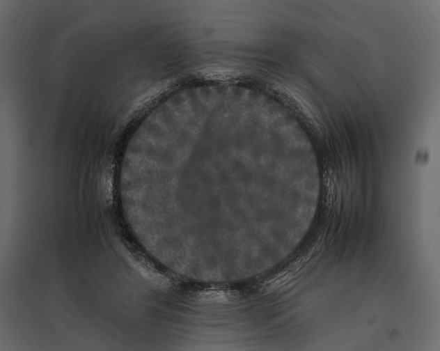 X0000097000404200803071122