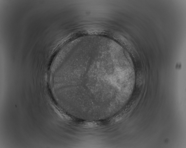 X0000097000405200803071122