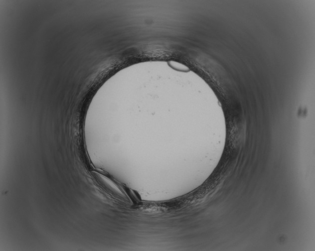 X0000097000407200803071122