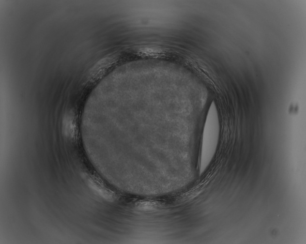 X0000097000408200803071122