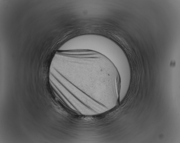 X0000097000409200803071122