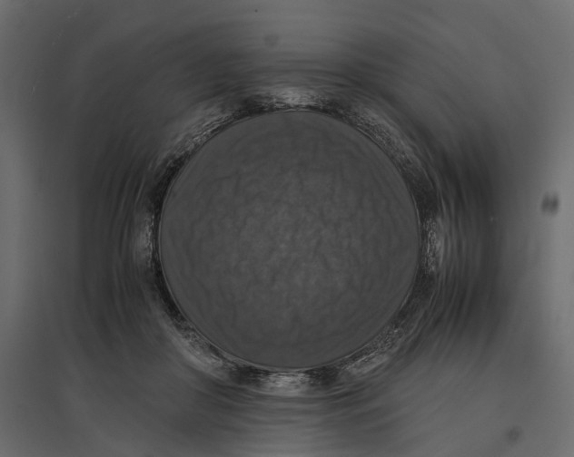 X0000097000410200803071122