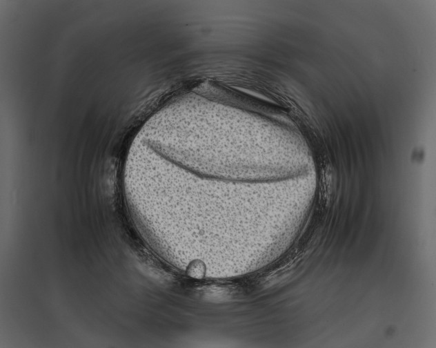 X0000097000412200803071122