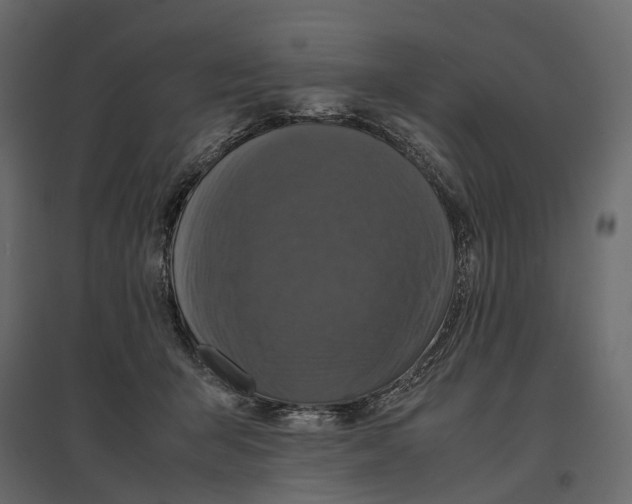 X0000097000415200803071122