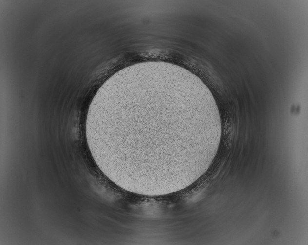 X0000097000416200803071122