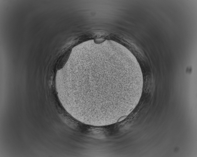 X0000097000417200803071122