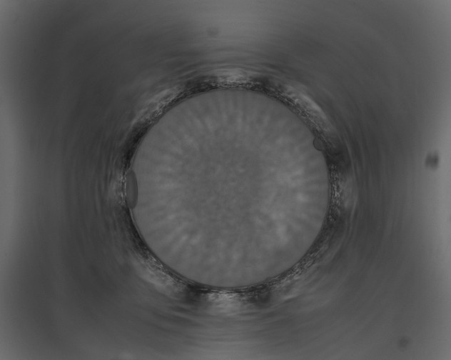 X0000097000419200803071122