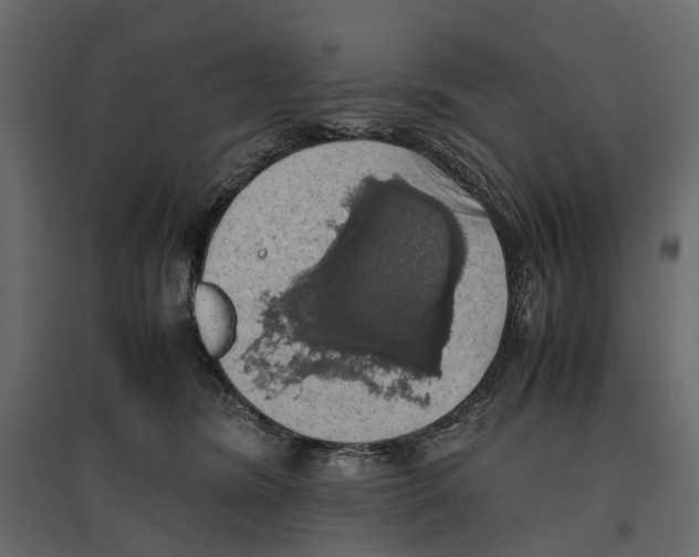 X0000097000420200803071122