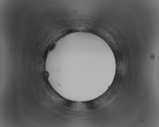 X0000097000421200803071122