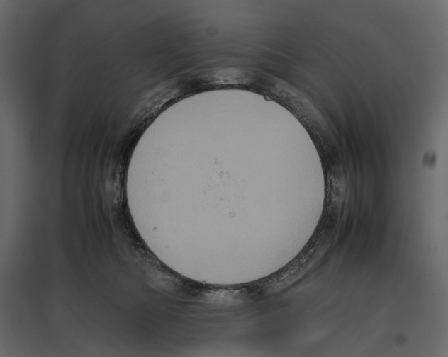 X0000097000422200803071122