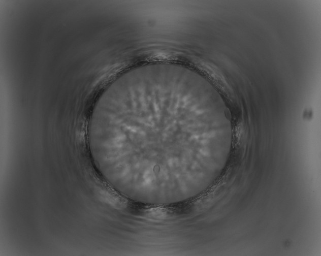 X0000097000423200803071122