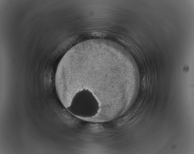 X0000097000424200803071122