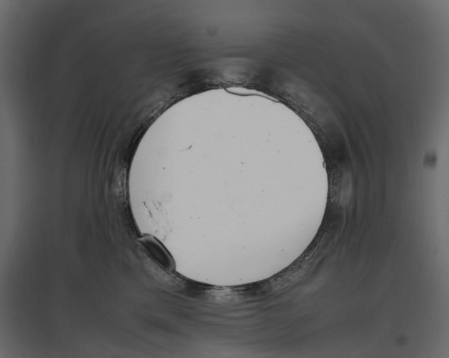 X0000097000425200803071122