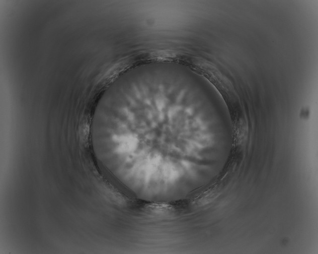 X0000097000427200803071122