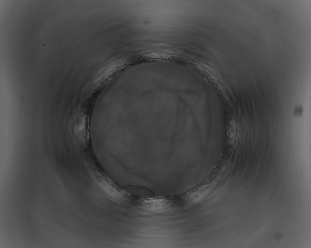 X0000097000428200803071122