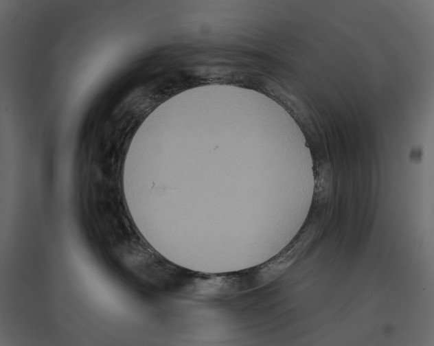 X0000097000430200803071122