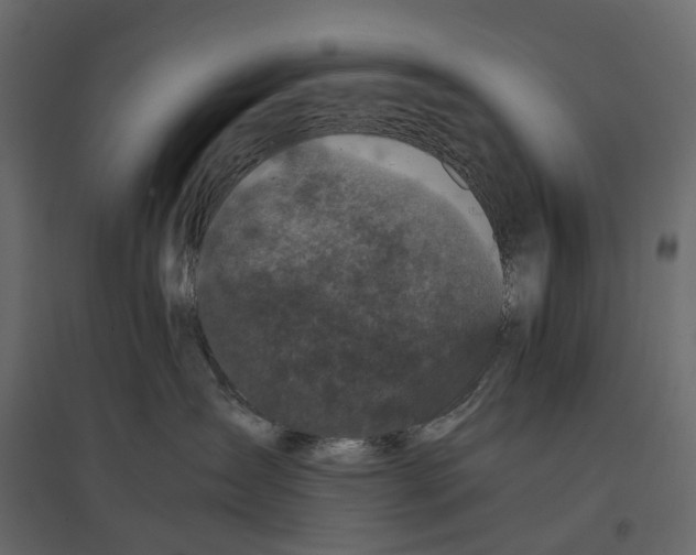 X0000097000431200803071122