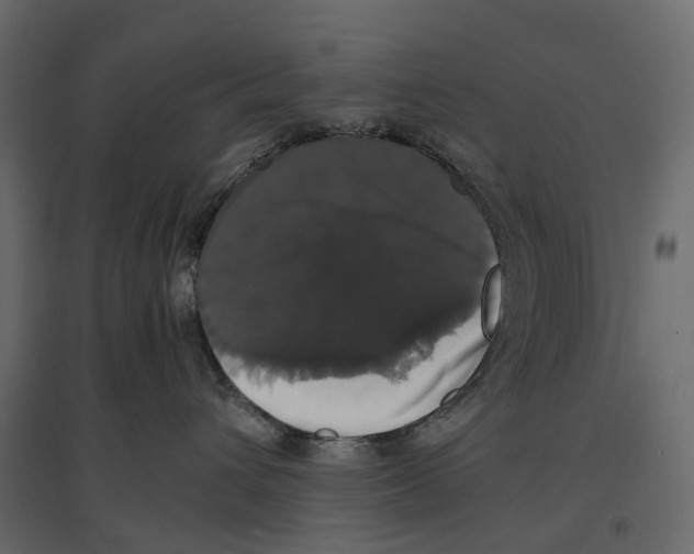 X0000097000432200803071122